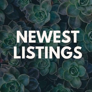 Other - NEWEST LISTINGS Other - NEWEST LISTINGS